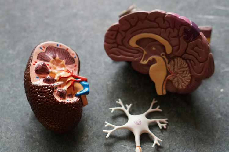 Preventing Chronic Diseases: What Can You Do Now