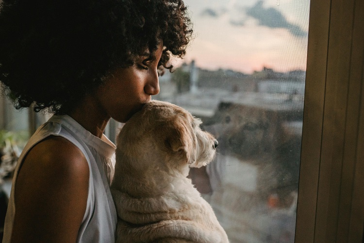 More Than a Cuddle: The Science Behind Pets and Reduced Stress