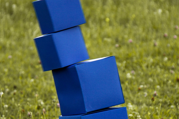 How to Handle Uncertainty in an Unpredictable World