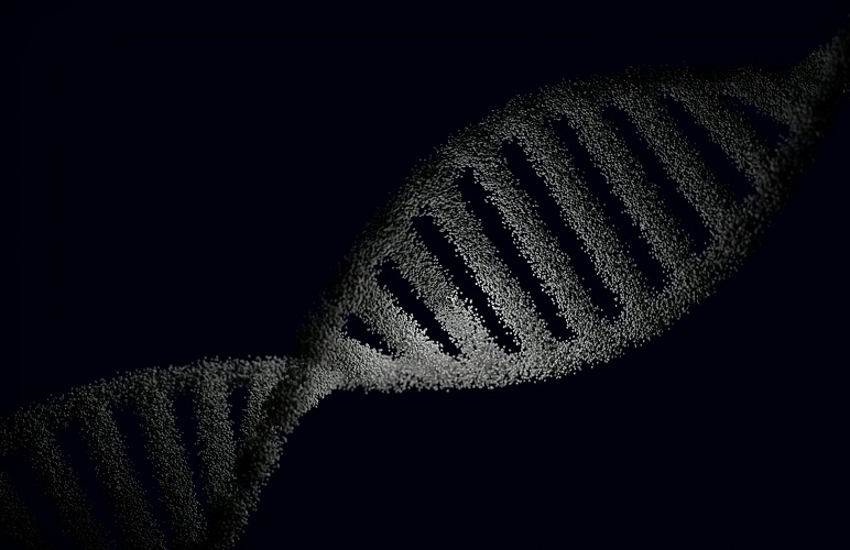 How 7 Genes Can Shape Your Genetic Profile