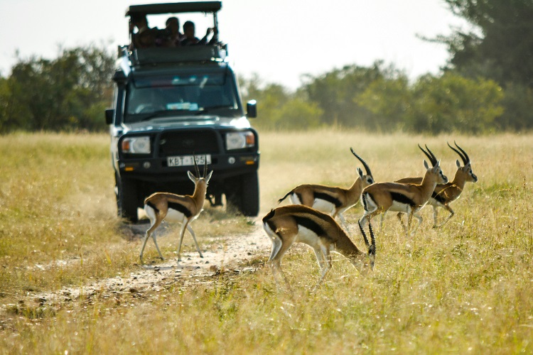 What a Budget Camping Safari in Kenya Is Actually Like